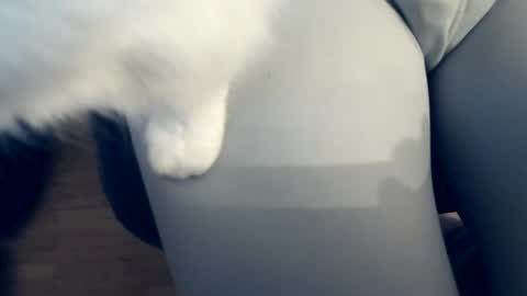 111mh online show from 4, 4, 2026