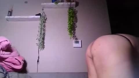 17carrjo974416 online show from 11, 3, 2026