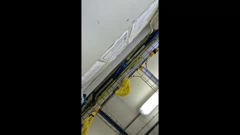 Snapshot of 1971berliner chatting on 24, 2, 2026 1971berliner online show from 24, 2, 2026