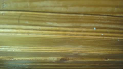 Snapshot of 19carla chatting on 21, 2, 2025 Carl the good girl online show from 21, 2, 2025