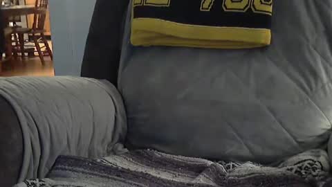 1badboy360 online show from 8, 2, 2025