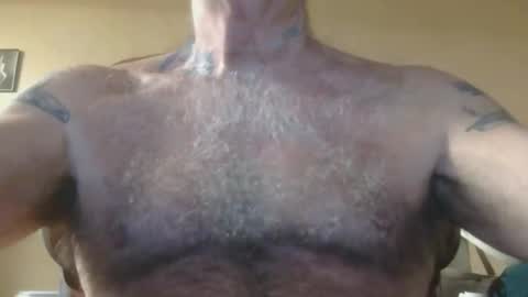 Pizza online show from 9, 11, 2025