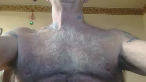 Pizza online show from 19, 12, 2025