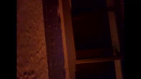 1st___ online show from 1, 3, 2026