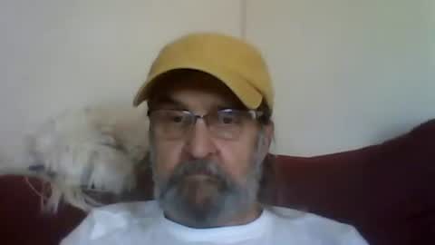 1valentine online show from 4, 12, 2025