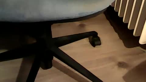 1vaso online show from 6, 12, 2024