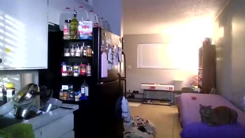 Snapshot of 2gorls1link chatting on 31, 12, 2024 2girls1link online show from 31, 12, 2024