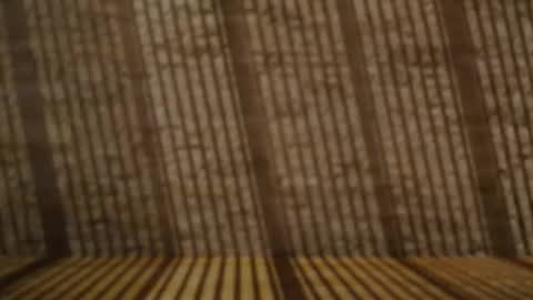 2hairrypigs online show from 24, 4, 2026