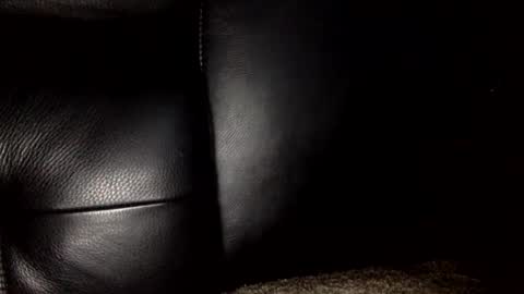 30nick online show from 10, 1, 2026