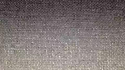 30nick online show from 16, 2, 2026