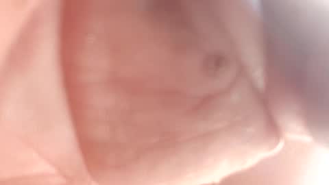 Snapshot of 3this88guy chatting on 12, 2, 2025 Thisguy online show from 12, 2, 2025