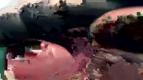 420_johnnystamina online show from 15, 2, 2025