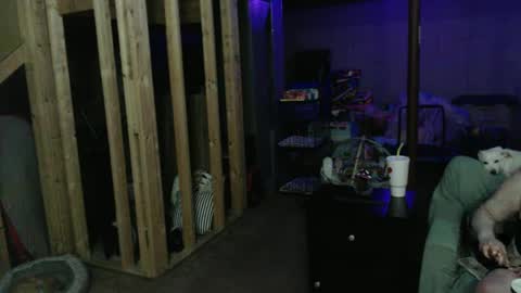 420bunnie online show from 1, 3, 2025