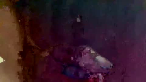 4utootry online show from 2, 3, 2026