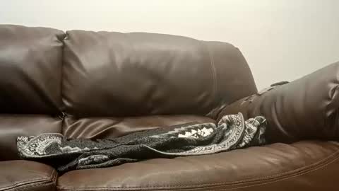 50groupauto online show from 14, 1, 2026