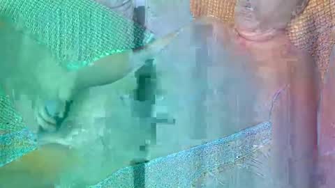 Daddy online show from 19, 10, 2025