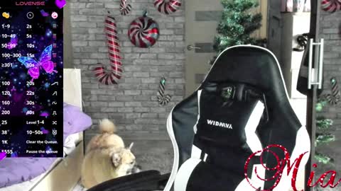 Mia my pvt is open and lovense is active online show from 23, 12, 2024