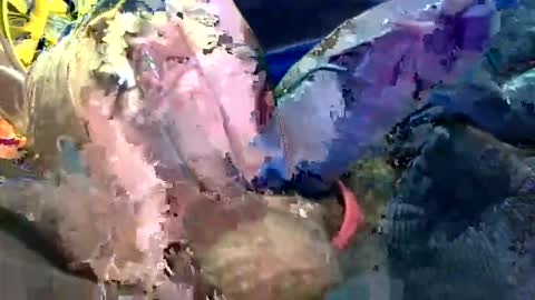 6990fiko online show from 27, 10, 2025