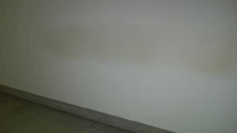 69___pas online show from 5, 12, 2024