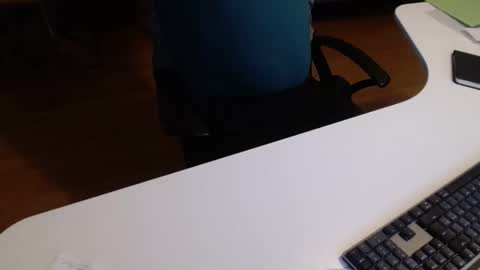 69pifpaf online show from 11, 12, 2024