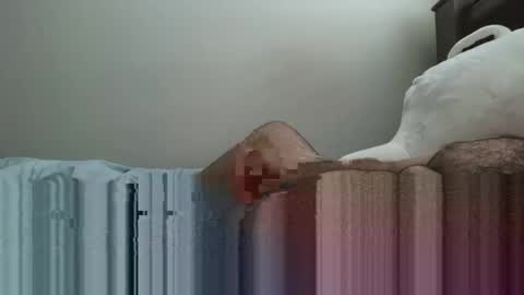 6boss498491 online show from 23, 2, 2026