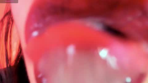 antonia online show from 13, 11, 2025