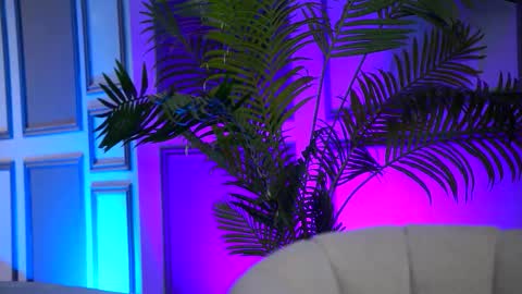 Arielle online show from 16, 2, 2026