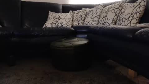 b0rn4porn online show from 11, 9, 2025