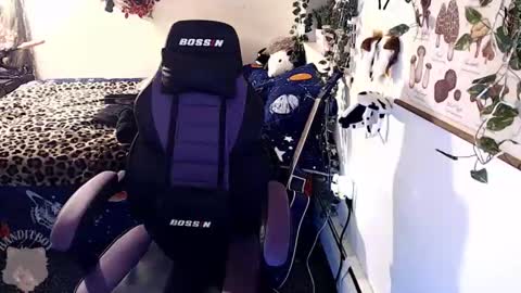 Snapshot of _bandit_b0y chatting on 22, 2, 2026 bandit online show from 22, 2, 2026