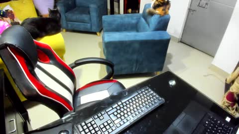 Snapshot of _emma_loyd_ chatting on 7, 2, 2025 Emma online show from 7, 2, 2025