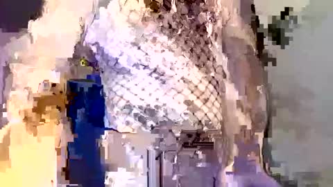  incocknito  online show from 16, 12, 2025