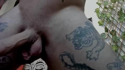 Layne online show from 21, 2, 2025