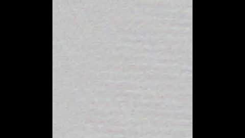 _maccaa_ online show from 1, 10, 2025