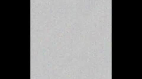 _maccaa_ online show from 5, 11, 2025