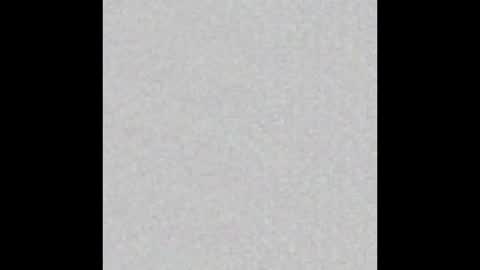 _maccaa_ online show from 11, 11, 2025