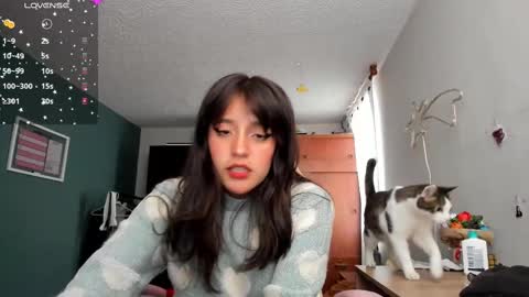 Next stream  950 pm Colombia time xd online show from 22, 2, 2025