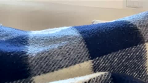 _muestroverga online show from 15, 3, 2026