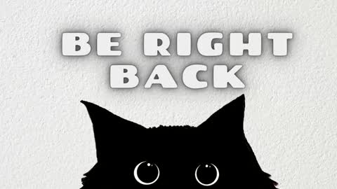 Stefany online show from 6, 2, 2026