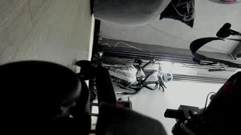 Selene online show from 2, 11, 2025