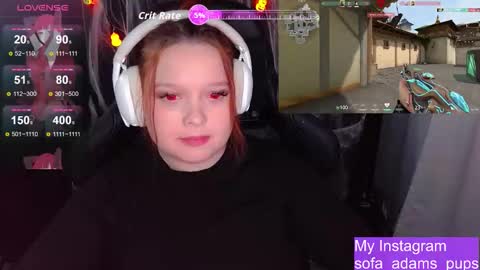 pups online show from 29, 10, 2025