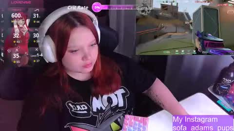 pups online show from 19, 11, 2025