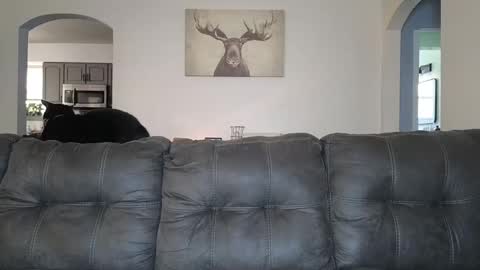 SophiaGraceKnight online show from 3, 10, 2025