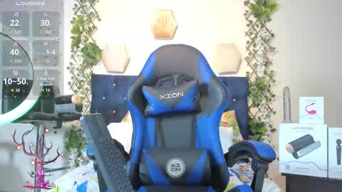 Taylor online show from 22, 11, 2025