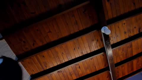 Valery online show from 28, 10, 2025