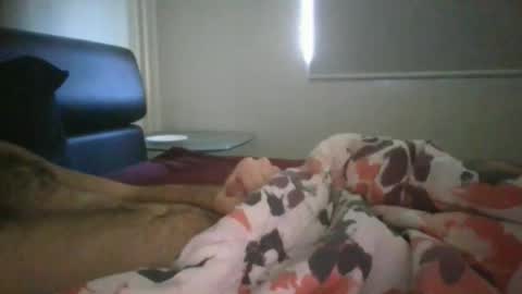 Snapshot of aaron0222 chatting on 11, 10, 2025 aaron0222 online show from 11, 10, 2025