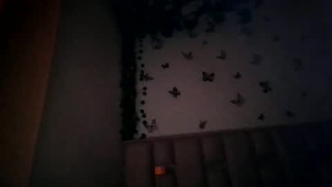 Snapshot of abby_moss_2 chatting on 1, 7, 2026 abby_moss_2 online show from 1, 7, 2026