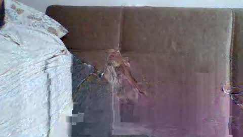 Snapshot of abdil_34 chatting on 5, 2, 2025 abdil_34 online show from 5, 2, 2025