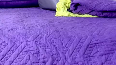 Abigail online show from 8, 1, 2026