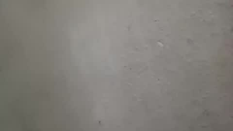 Snapshot of absltorres8 chatting on 14, 7, 2026 absltorres8 online show from 14, 7, 2026