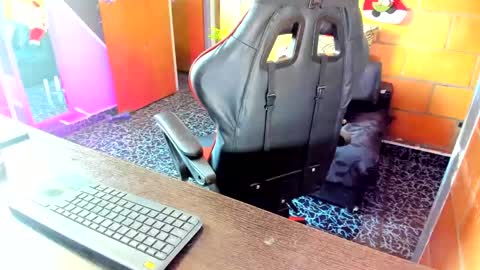 Adam Valencia online show from 5, 12, 2024